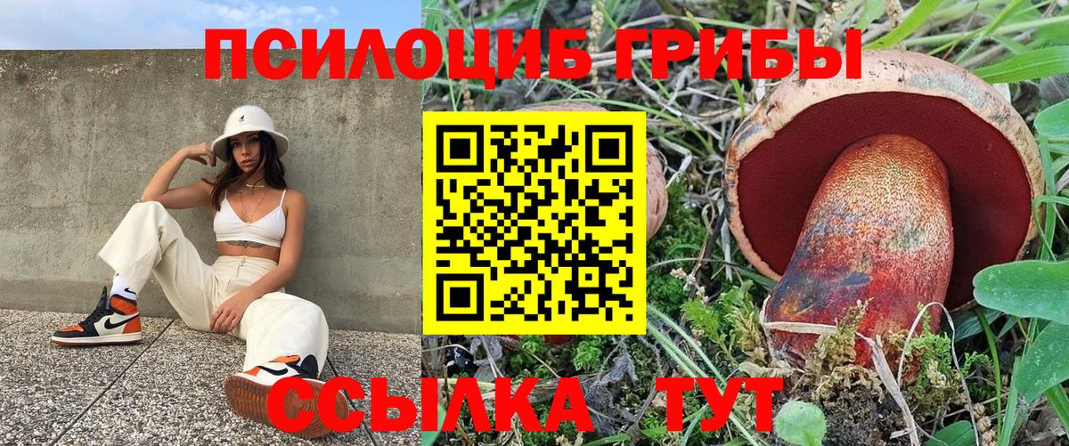 Галлюциногенные грибы GOLDEN TEACHER Саянск