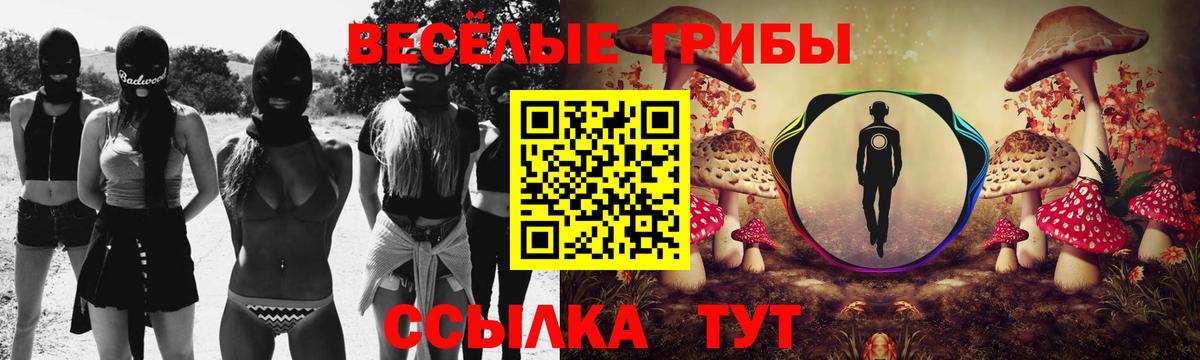 Псилоцибиновые грибы Psilocybe  Вход с VPN  Саянск  Галлюциногенные грибы GOLDEN TEACHER 